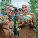 Panen Melon Smart Greenhouse Natar Perkuat Vokasi Lampung