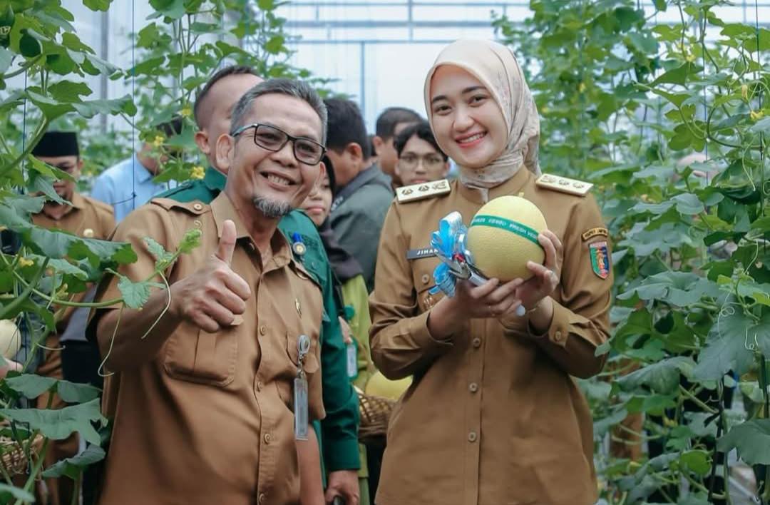 Panen Melon Smart Greenhouse Natar Perkuat Vokasi Lampung