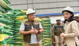 Stok Pangan di Bulog Lampung Selatan Aman Hingga Akhir Tahun 2026