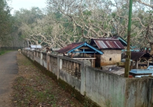 Donasi TPU Purwodadi Dalam Dibuka untuk Pengecatan Pagar